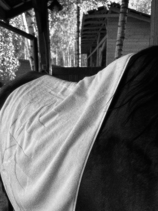 Ręcznik frotte | BITA ŚMIETANA